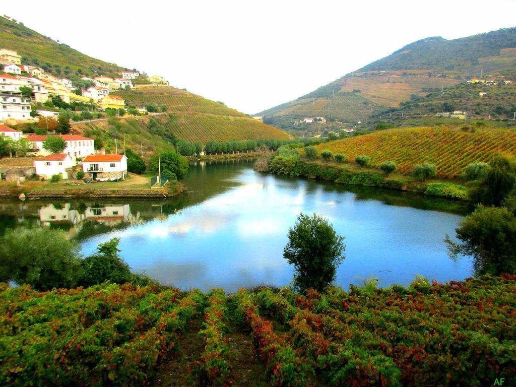 Casa Grande Covelinhas Villa Dış mekan fotoğraf
