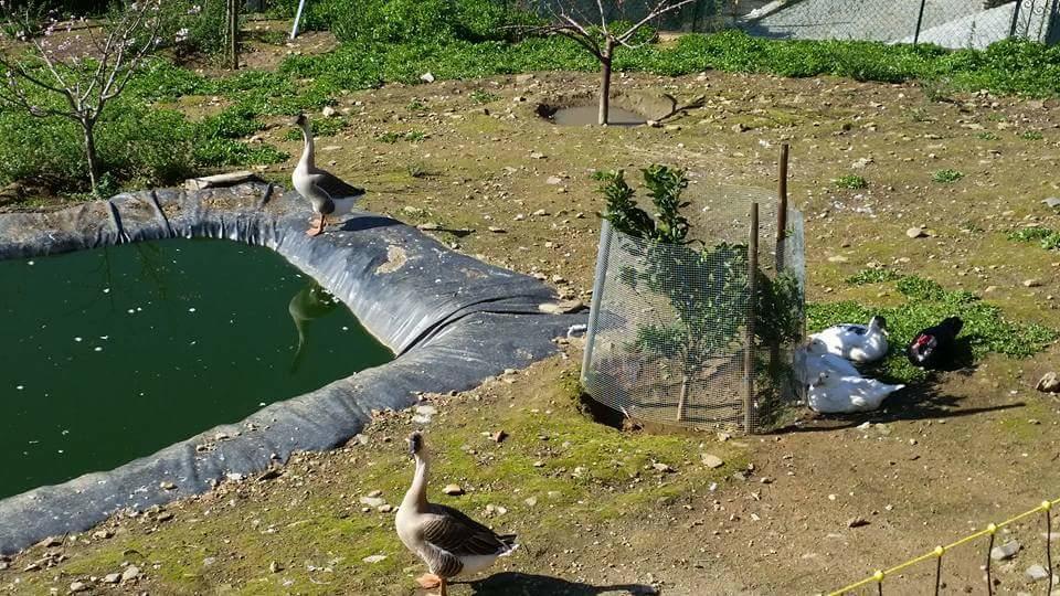 Casa Grande Covelinhas Villa Dış mekan fotoğraf